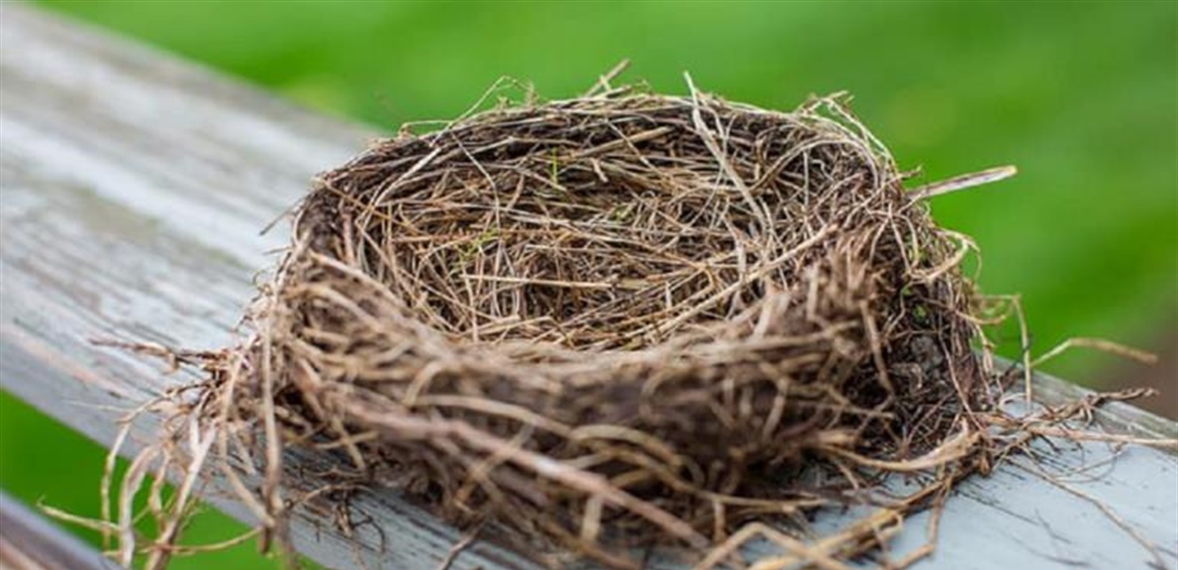 قرية هندية تعيش 45 يومًا في الظلام لهذا السبب