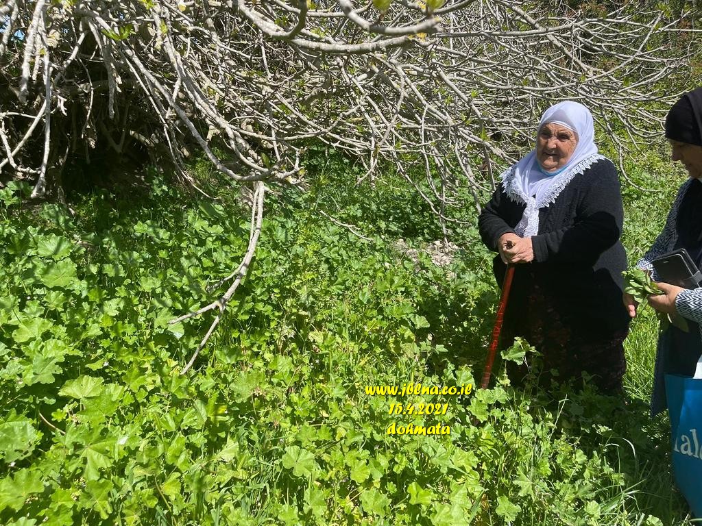 بالصور والفيديو-الحاجة ام أحمد:-حين احضر لسحماتا روحي ترجع الي وحين اتركها تخرج مني-