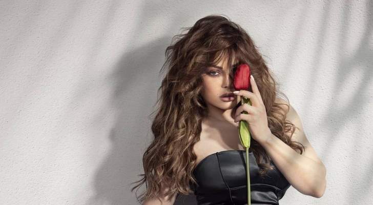 هيفا وهبي: -الله يحمي فلسطين الحبيبة واهلها