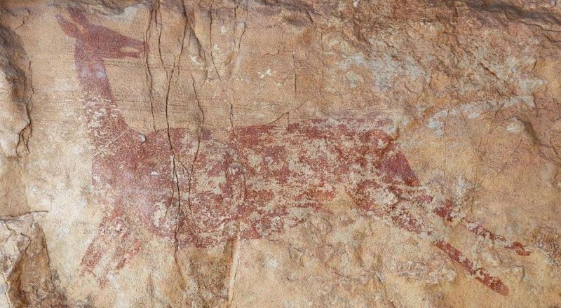 في كهف بإسبانيا.. اكتشاف رسوم مدهشة عمرها 7500 عام