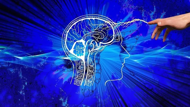 5 أطعمة تقوي الذاكرة.. تعرف عليها