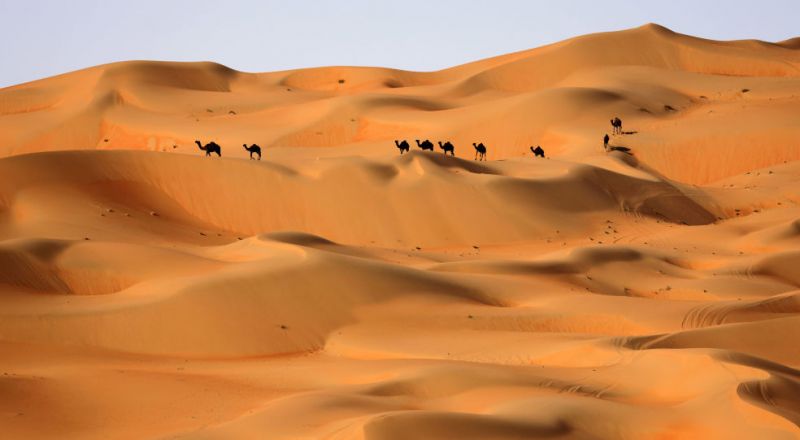 علماء يكشفون سر تماثيل الجمال العملاقة في شمال الجزيرة العربية