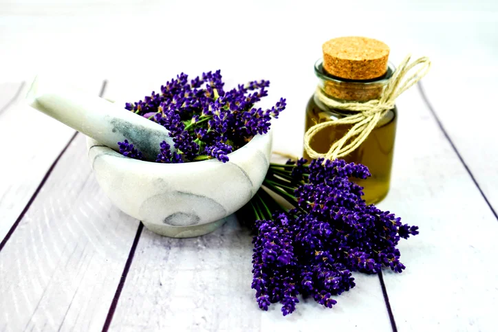 حواء جبلنا- عليك بزيت اللافندر للشعر الجاف!