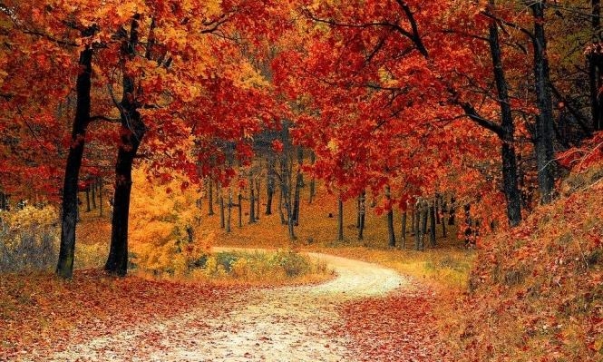 حالة الطقس: أجواء خريفية حتى الجمعة