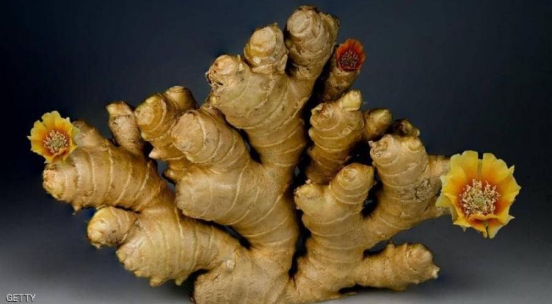 10 فوائد صحية  مثالية  للزنجبيل