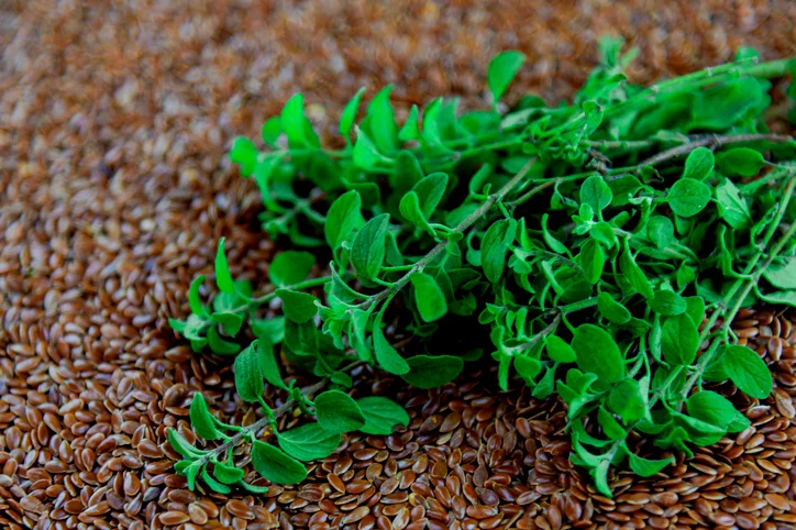 ما هي فوائد المردقوش للتنحيف؟