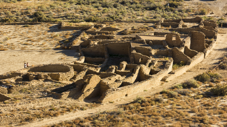 دراسة: ثقافة أمريكية واحدة استفادت بالفعل من  أسوأ عام في تاريخ البشرية
