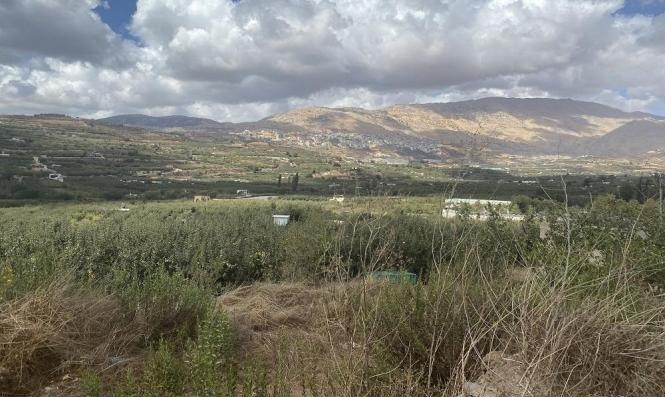 حالة الطقس: غائم إلى صاف ودافئ نسبيا