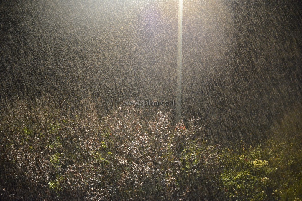 حالة الطقس: أمطار الخميس وأجواء دافئة بنهاية الأسبوع