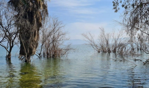 87 سم لامتلاء بحيرة طبرية