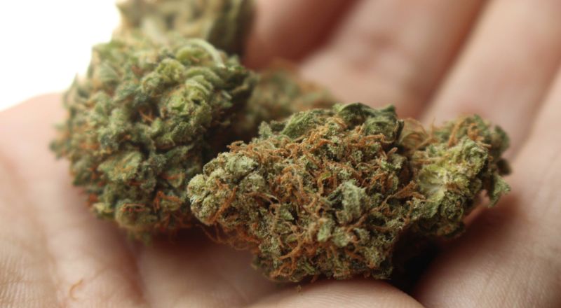 قرار حكومي بشطب السجل الجنائي لمن أدين بتهمة حيازة او استخدام القنب للاستهلاك الذاتي!