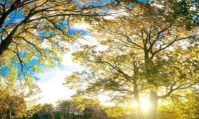 حالة الطقس: ارتفاع متدرج على الحرارة حتى السبت