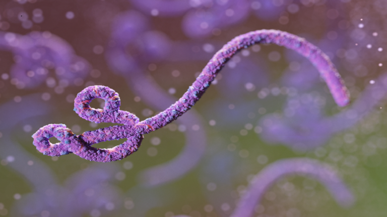 تفشي الإيبولا: الصحة العالمية تدق ناقوس الخطر مع الوفاة الثانية بسبب المرض!