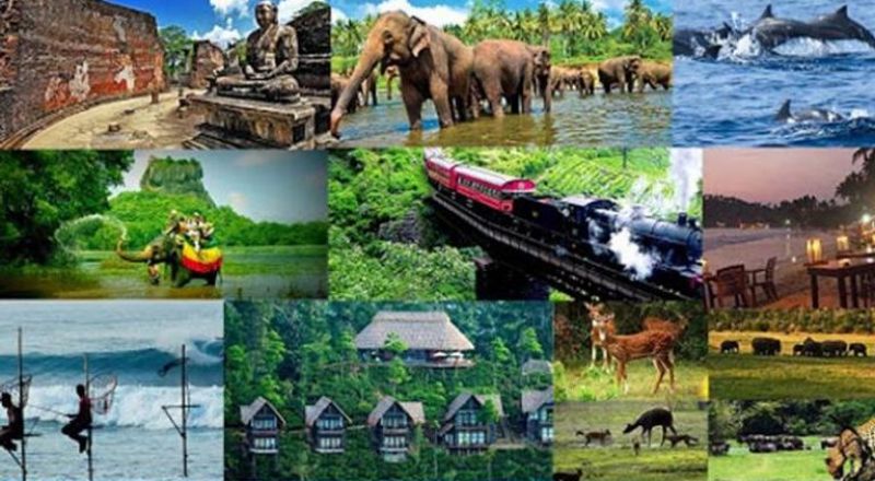 السياحة في سريلانكا.. أهم الوجهات السياحية وتكلفة السفر إليها