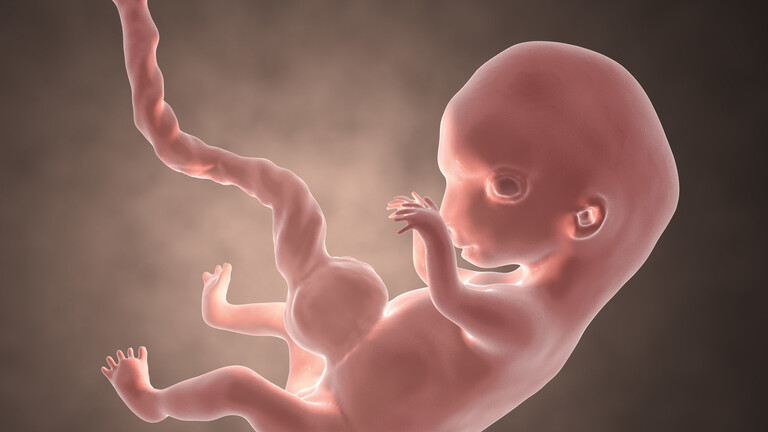 حواء جبلنا- أدوية شائعة الاستخدام يتسبب تناولها أثناء الحمل في حدوث تشوهات خلقية