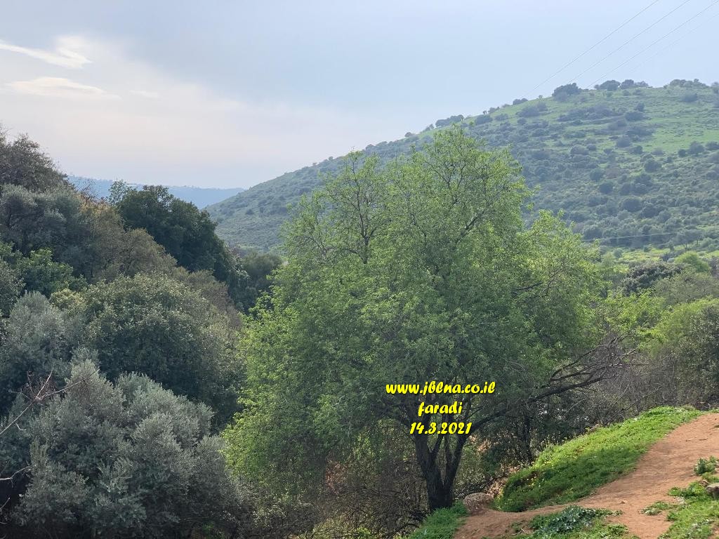 حالة الطقس: حار نهارا ولطيف ليلا