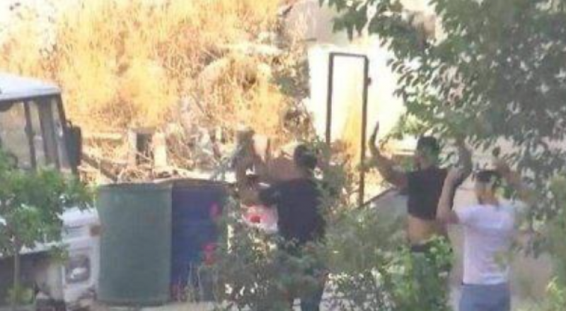 نابلس: منفذو الاشتباك المسلح يسلمون أنفسهم