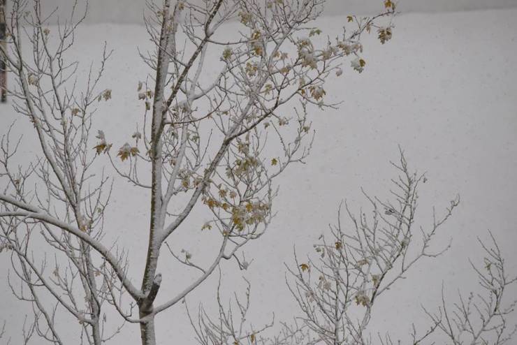 حالة الطقس : ثلوج خفيفة فوق المناطق المرتفعة غداً الاربعاء