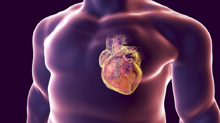 ستة أطعمة يمكن أن تغذي أمراض القلب!