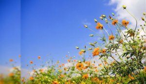 حالة الطقس: أجواء ربيعية ويطرأ ارتفاع على درجات الحرارة