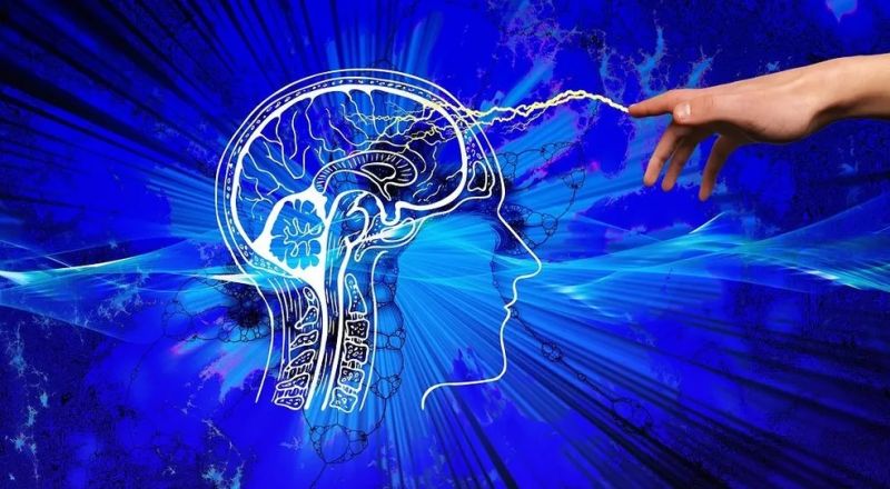 شريحة ماسك للأدمغة.. موافقة رسمية لبدء التجارب على البشر