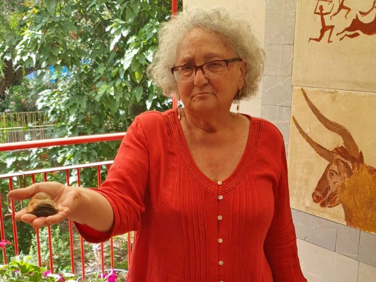 إسرائيلية تعثر على تمثال عمرة أكثر من 3000 عام خلال تجوالها بإحدى الحدائق