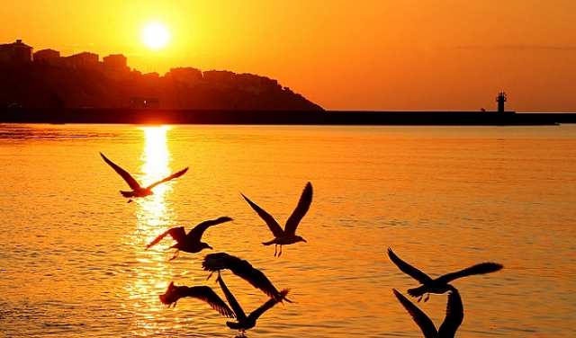 توقعات حالة الطقس- اجواء شديدة الحرارة حتى نهاية الاسبوع