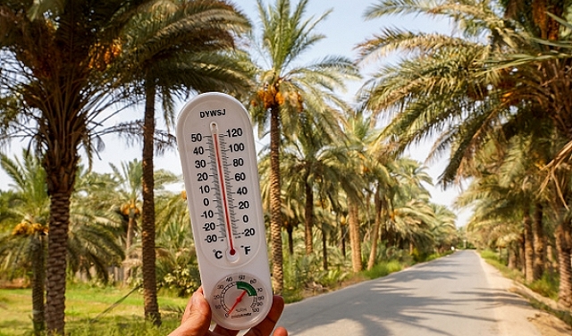 حالة الطقس: موجة حارة حتى الخميس