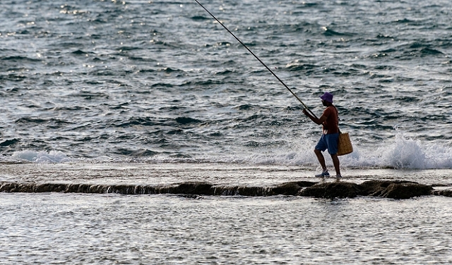 حالة الطقس: أجواء صيفية ودرجات الحرارة حول المعدل العام