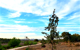 حالة الطقس: أجواء خريفية لطيفة ولا يطرأ تغيير يذكر على درجات الحرارة