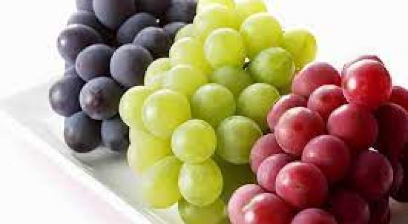 تناول العنب يحسن الرؤية لدى كبار السن