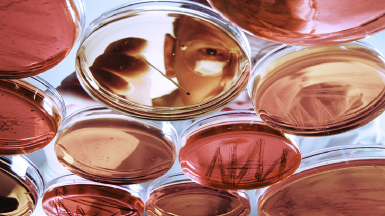 أهم من عمرنا الحقيقي.. العلماء يحددون أربعة أنماط بيولوجية للشيخوخة!