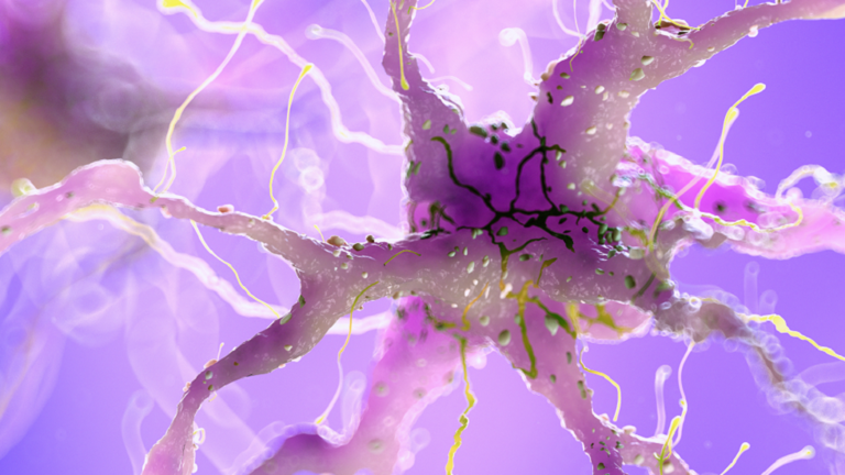 في خطوة أولى متقدمة.. نجاح عملية نقل ألزهايمر إلى فئران شابة!