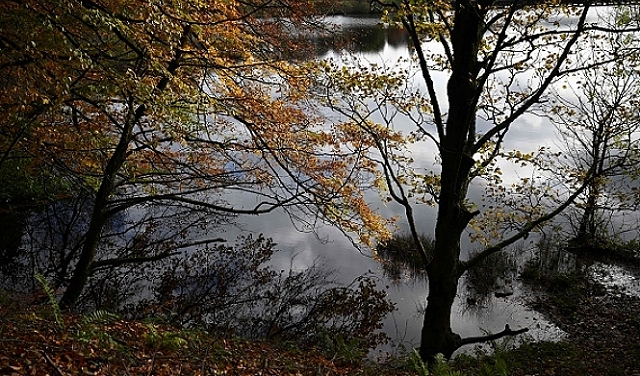 حالة الطقس: أجواء خريفية باردة