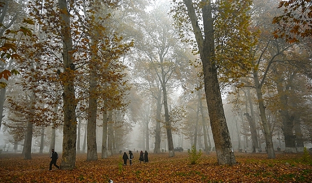 حالة الطقس: أمطار متفرقة والحرارة بانخفاض