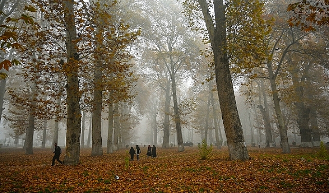 حالة الطقس: أجواء باردة وفرصة لأمطار متفرقة