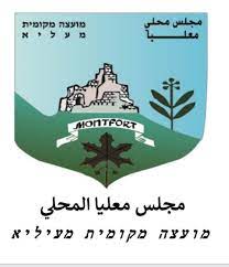 بيان توضيحي هام لأهالي معليا  لإظهار الحقيقة-من اعضاء من لجنة المناقصات في المجلس المحلي