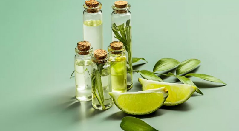 طرق فعالة للتخلص من الناموس من دون استخدام المبيدات