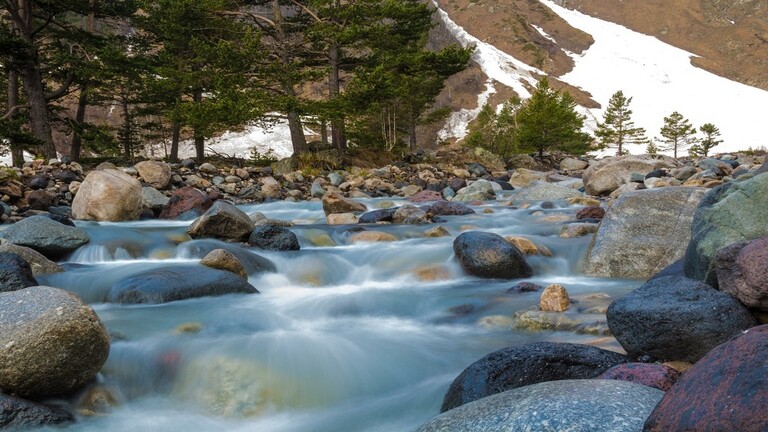 روسيا.. اكتشاف 30 نوعا جديدا من اللافقاريات في جليد القوقاز
