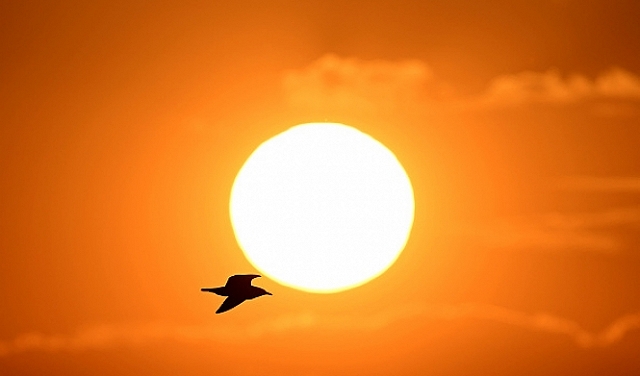 حالة الطقس: أجواء صيفية حارة