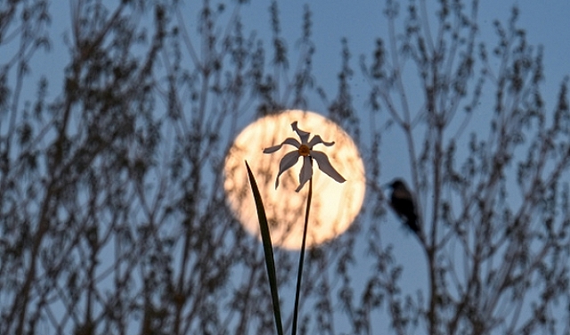 حالة الطقس: أجواء حارة رغم انخفاض الحرارة