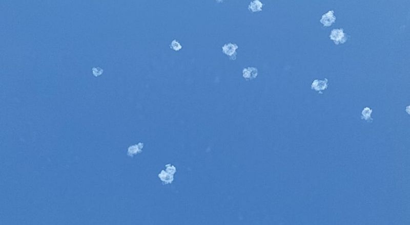 رشقة صاروخية ثانية: صفارات انذار في بيت جن والرامة واماكن أخرى