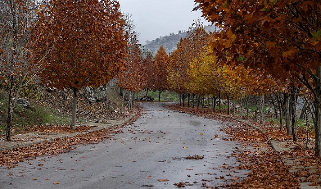 حالة الطقس: انخفاض ملموس على درجات الحرارة