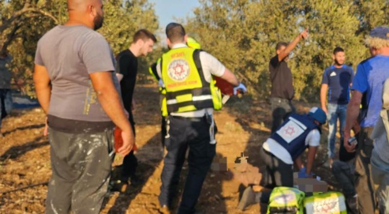 ضحيتا سقوط الصاروخ في كرم الزيتون: مينا حسون وابنها كرمي من شفاعمرو