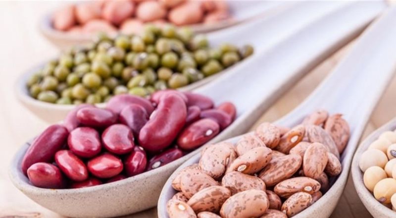 فوائد البقول... دراسة تكشف اهميتها
