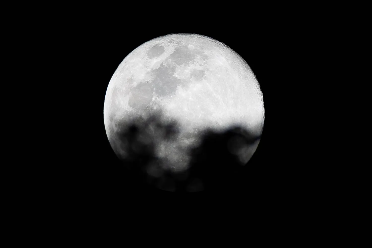 هل أثرت جائحة «كوفيد» على القمر؟... دراسة تجيب