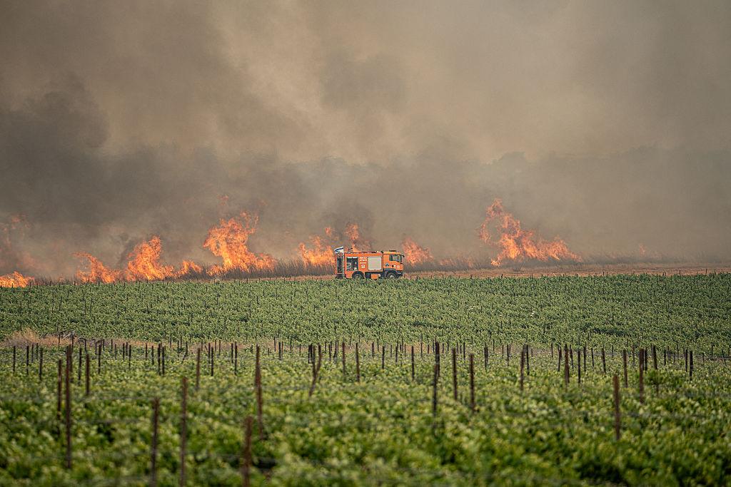 استمرار أعمال اخماد الحرائق وحديث عن توقيف 18 مشتبهًا