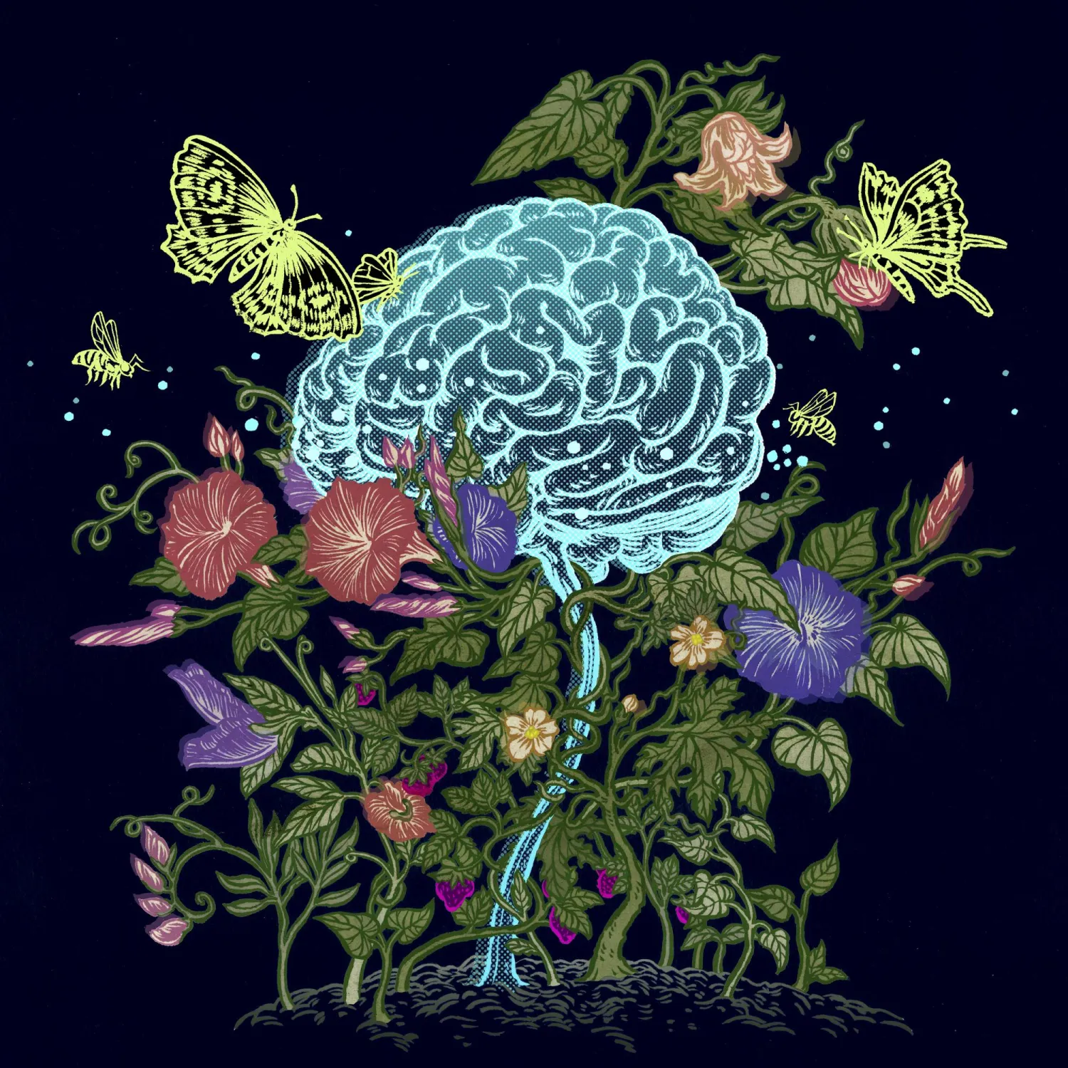 هرمونات الجنس... «هرمونات دماغية»