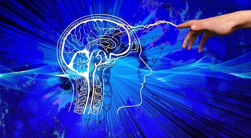 5 تأثيرات خطيرة للبلاستيك الدقيق على الدماغ