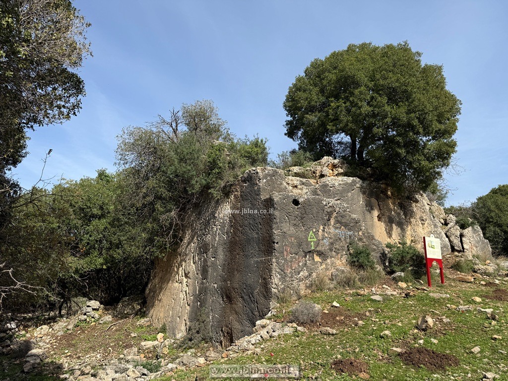 اطلع على الطبيعة مع طلعت – خِربة المنحتة، غرب معليا